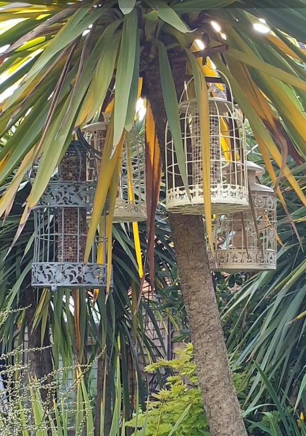Tropical Garden Oasis Rooms Birmingham Ngoại thất bức ảnh