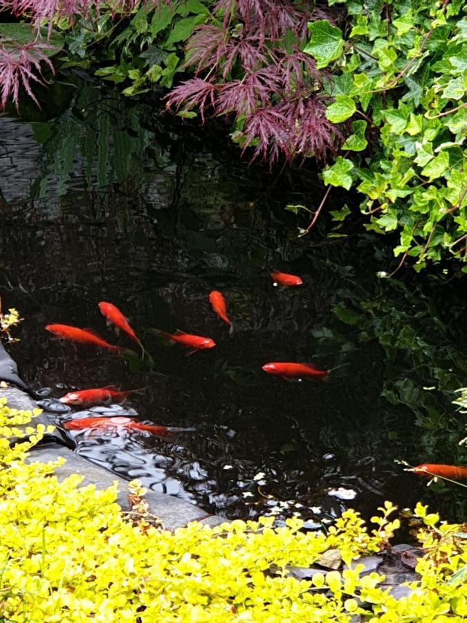 Tropical Garden Oasis Rooms Birmingham Ngoại thất bức ảnh