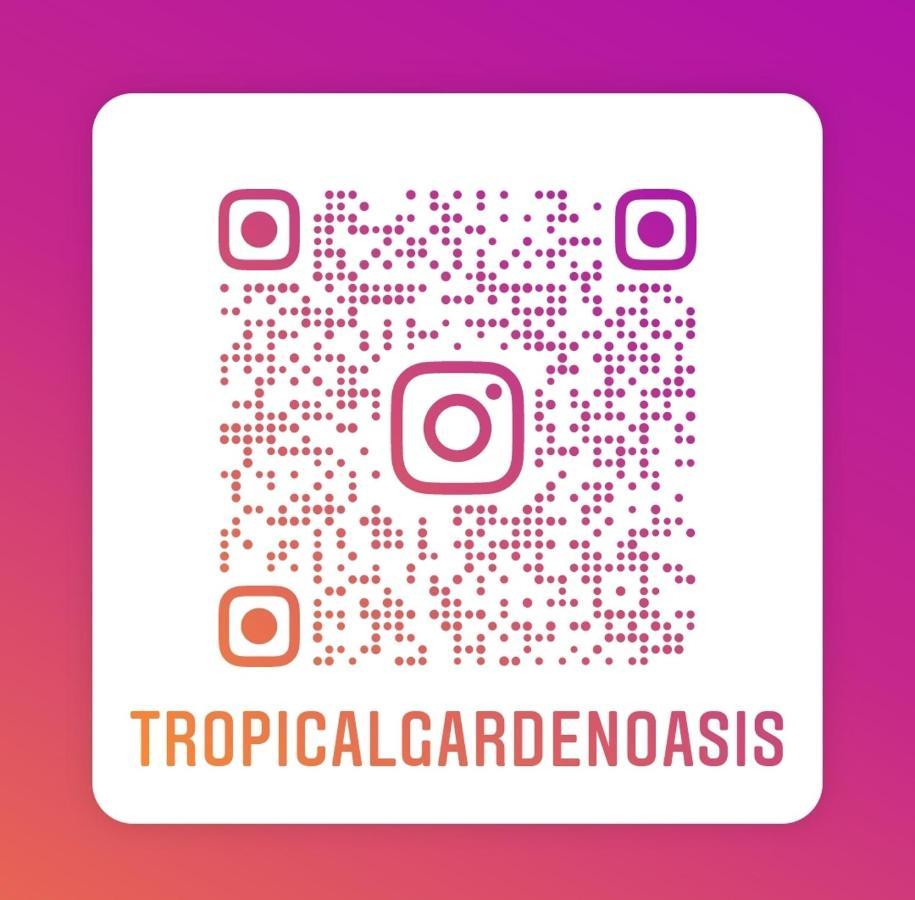 Tropical Garden Oasis Rooms Birmingham Ngoại thất bức ảnh