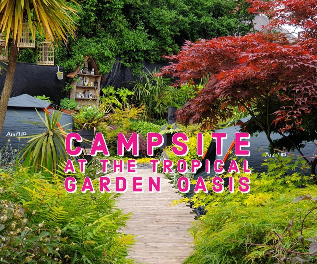 Tropical Garden Oasis Rooms Birmingham Phòng bức ảnh
